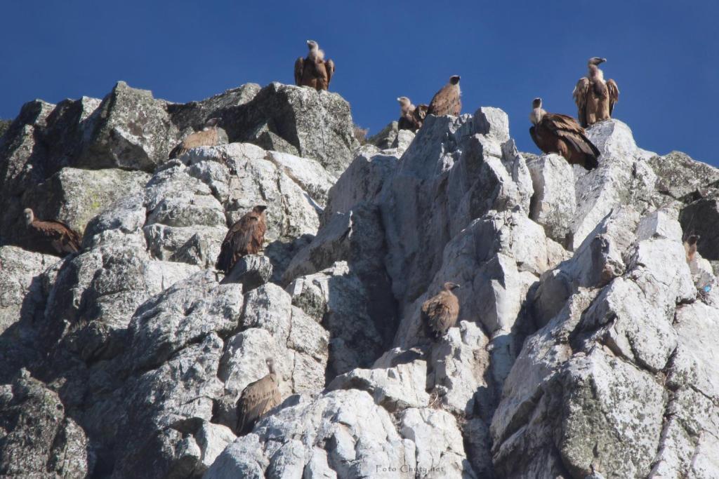 Sierra De Monfrague Leilighet Torrejón el Rubio Eksteriør bilde